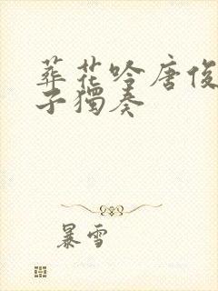 葬花吟唐俊乔笛子独奏