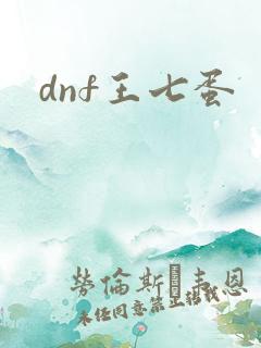 dnf王七蛋