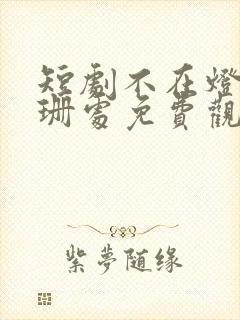 短剧不在灯火阑珊处免费观看