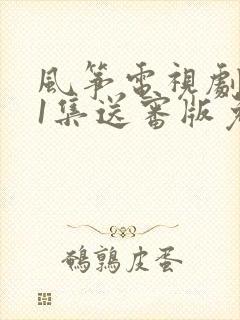 风筝电视剧全51集送审版免费观看