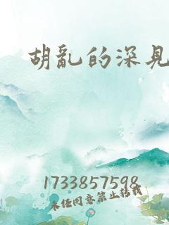 胡乱的深见君6