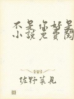 不是你好是我好小说免费阅读