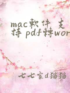 mac软件 支持 pdf转word