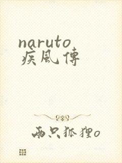 naruto 疾风传