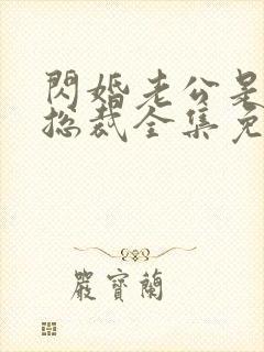 闪婚老公是千亿总裁全集免费收看