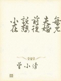 小说前夫每天都在想复婚免费阅读