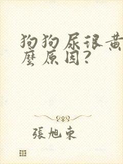 狗狗尿很黄是什么原因?
