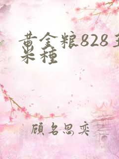 黄金粮828玉米种