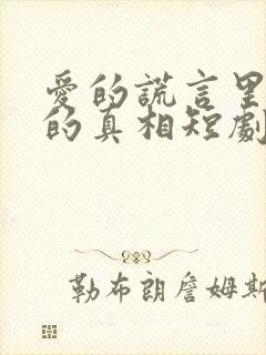 爱的谎言里仇恨的真相短剧在线观看