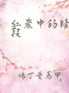 红岩中的精彩句段