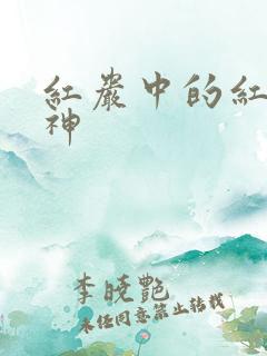 红岩中的红岩精神
