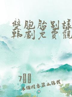 双胞胎别样人生韩剧免费观看全集