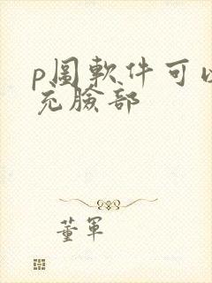 p图软件可以填充脸部