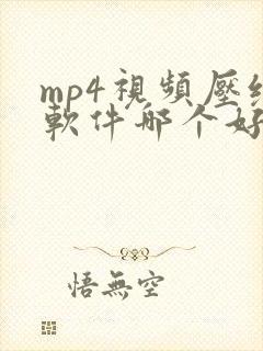 mp4视频压缩软件哪个好
