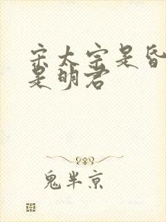 宋太宗是昏君还是明君