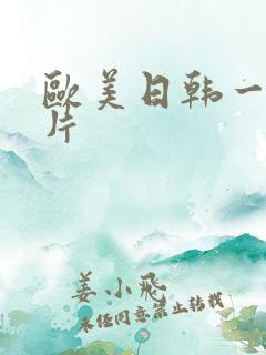 欧美日韩一级一片