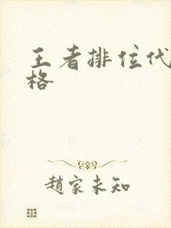 王者排位代打价格