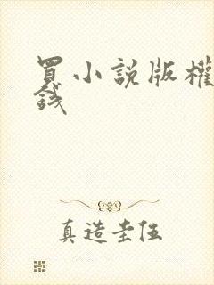 买小说版权多少钱