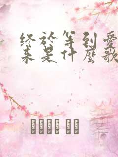 终于等到爱回不来是什么歌