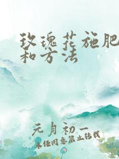 玫瑰花施肥时间和方法