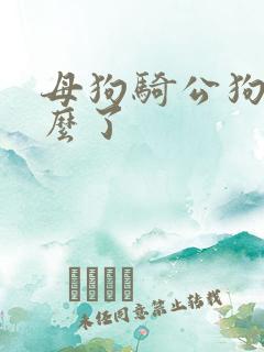母狗骑公狗是怎么了