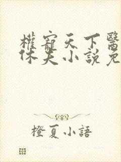 权宠天下医妃要休夫小说免费全集