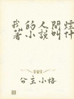 我的人间烟火原著小说叫什么