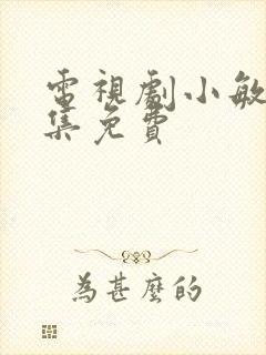 电视剧小敏家全集免费
