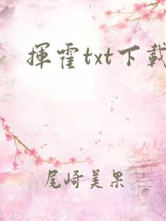 挥霍txt下载