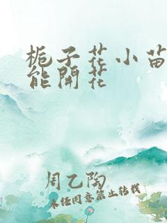 栀子花小苗几年能开花 栀子花小苗几年能开花