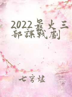 2022最火三部谍战剧