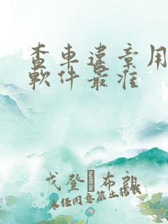 查车违章用什么软件最准