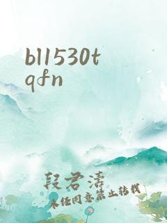 bl1530tqfn