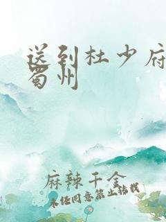 送到杜少府之任蜀州