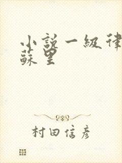 小说一级律师木苏里