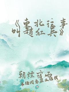 《东北往事:我叫赵红兵》电影