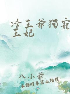 冷王爷独宠穿越王妃