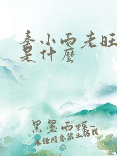 秦小雨老旺结局是什么 秦小雨老旺结局是什么