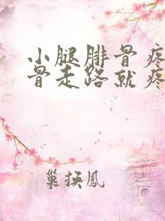 小腿腓骨疼痛胫骨走路就疼