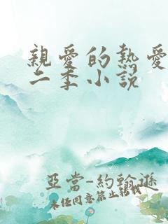 亲爱的热爱的第二季小说