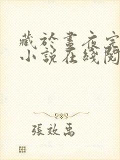 藏于昼夜完结的小说在线阅读