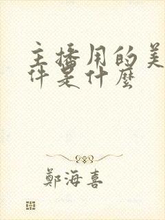 主播用的美颜软件是什么
