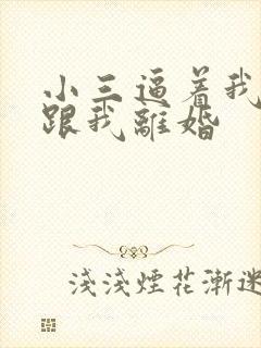 小三逼着我老公跟我离婚