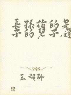 长孙指的是大儿子的儿子,还是兄弟中最大的