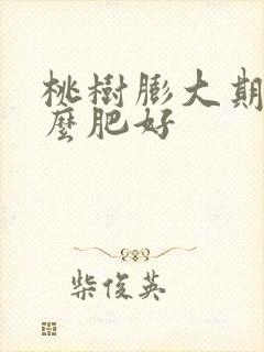 桃树膨大期用什么肥好