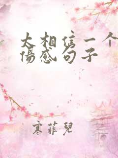 太相信一个人的伤感句子