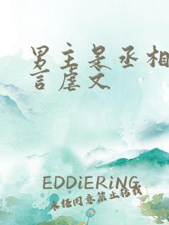 男主是丞相的古言虐文