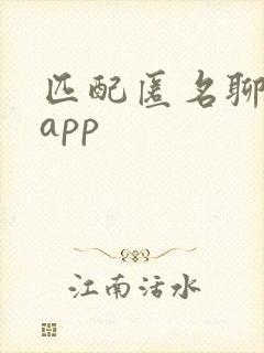 匹配匿名聊天的app