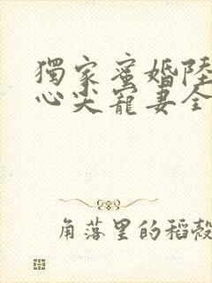 独家蜜婚陆少的心尖宠妻全文阅读