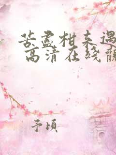苦尽柑来遇见你 高清在线观看